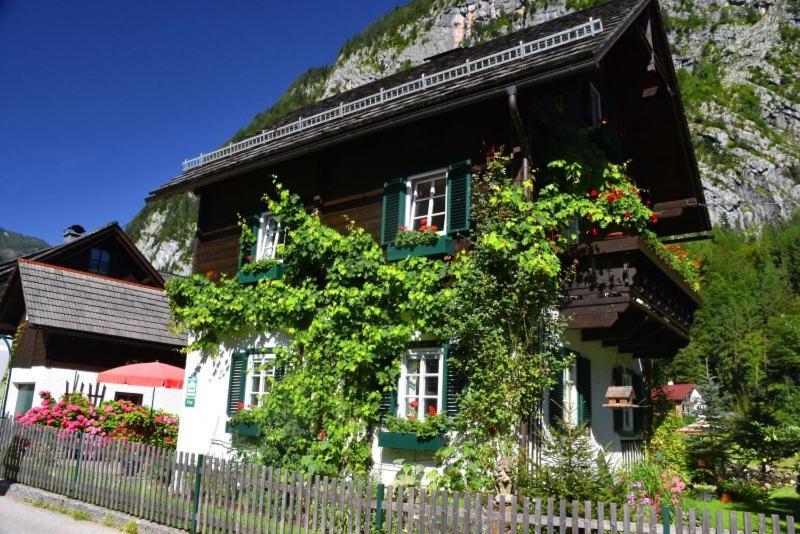 B&B Haus Hemetzberger Hallstatt Exterior foto
